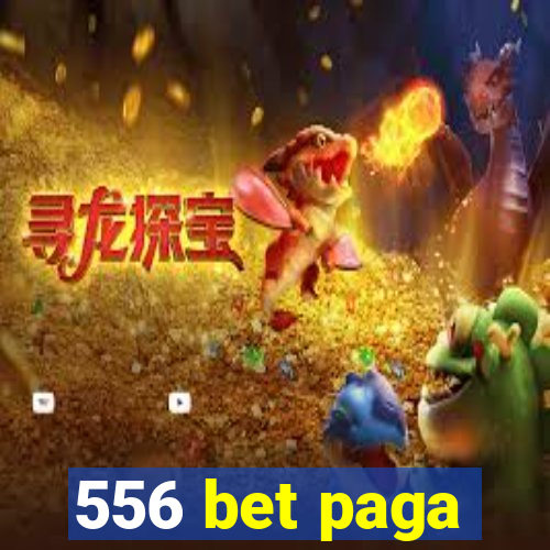 556 bet paga